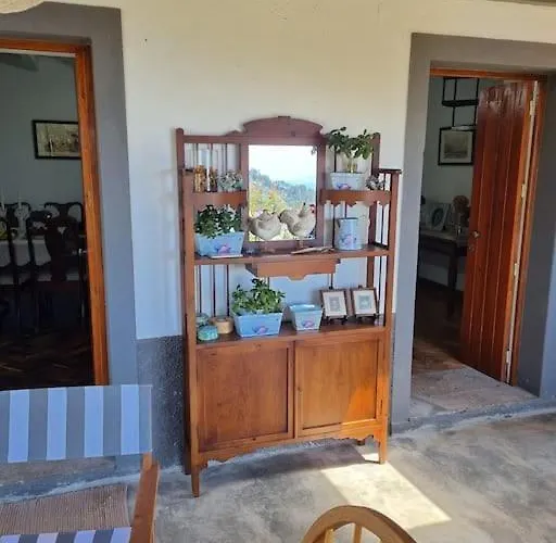 Quiet Countryside Nature Retreat סנטה קרוז